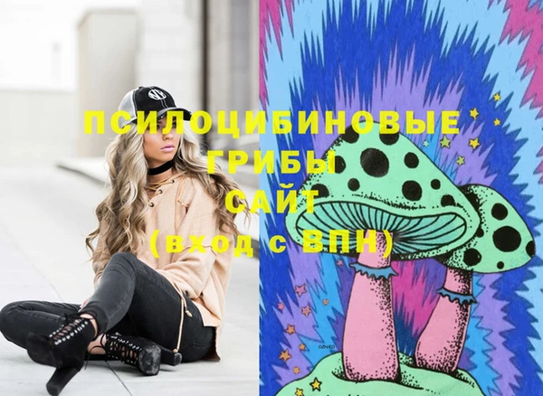 гидропоника Дмитров